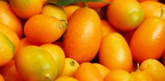 Kumquat-Likör