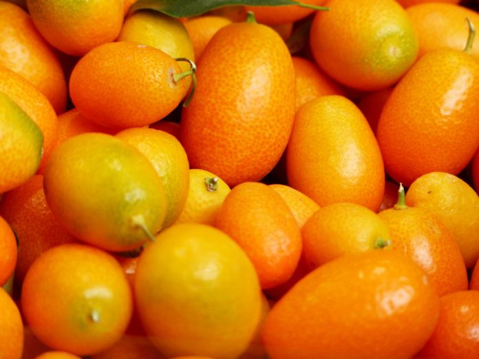 Kumquat-Likör